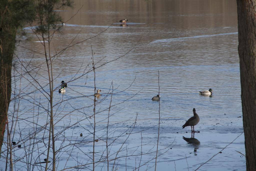 Weissensee Potsdam